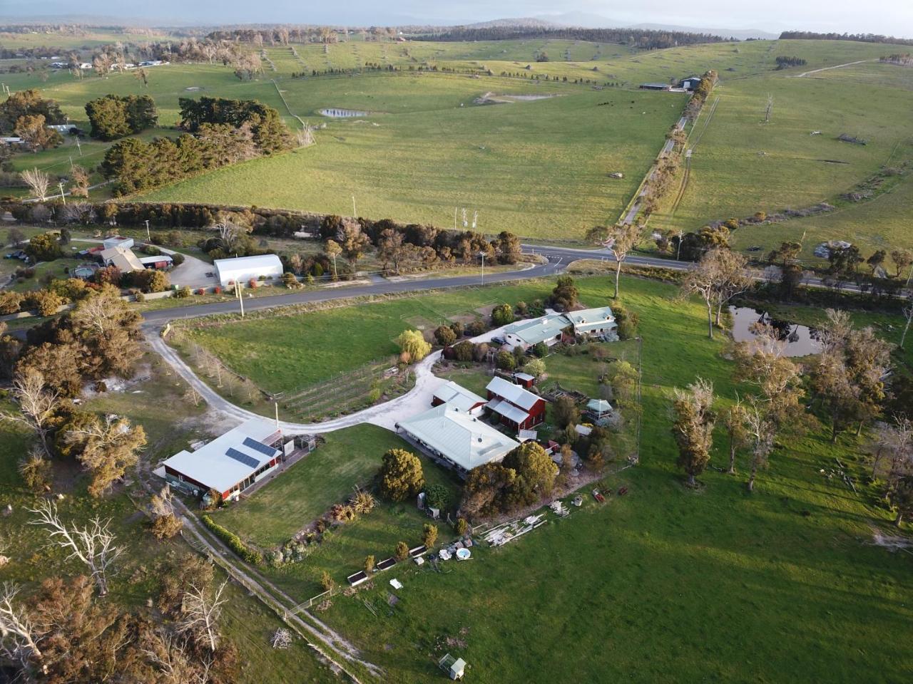Platypus Park Country Retreat Villa Bridport Exterior foto